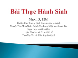 Nhóm 3, 12b1
Dư Gia Huy, Trương Cảnh Sơn: sưu tầm hình ảnh
Nguyễn Trần Minh Nhật, Quỳnh Nhi,Trung Nhật: sưu tầm dữ liệu
Ngọc Hợp: sưu tầm video
Uyên Phương, Vũ Nghi: thiết kế
Thảo My, Thị Ni: Hiệu ứng, âm thanh

 