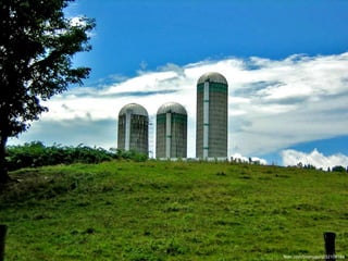 flickr.com/timmygunz/32108184
 