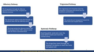 Nose to Brain Drug Delivery (Advancement 2026) | PPTX