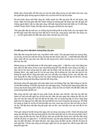 Nhiều năm chứng kiến nỗi khổ của con trai khi phải sống chung với căn bệnh khó chịu, ông 
bà quyết tâm giúp những người bị bệnh như con trai mình tìm lại sức khỏe. 
Khi bài thuốc được phổ biến rộng rãi, nhiều người tìm đến gia đình để xin bài thuốc, cây 
thuốc. Ngôi nhà ống giữa đất Sài Thành không có không gian để trồng cây nên để giúp đỡ 
những người bệnh, nên có mấy năm ròng, mỗi tuần ông bà lại thuê một chiếc xe 16 chỗ chạy 
ra Ninh Thuận, Bình Thuận chở đầy một xe cây giao về phát cho mọi người. 
Thời gian gần đây do tuổi cao, vợ chồng ông bà không thể đi xa lấy thuốc cho mọi người nên 
bỏ thời gian soạn hẳn một quy trình đầy đủ từ mô tả cây, công dụng, cách làm, tác dụng, lưu 
ý … và mỗi người bệnh tìm đến đều được biếu một bản quy trình này. 
Cây giao 
Chi tiết quy trình diệt bệnh xoang bằng cây giao 
Điều đầu tiên trong bài thuốc này, ông Đảnh nhấn mạnh: “Do cây giao thuộc họ xương rồng, 
có mủ đục có hại cho mắt nên trong mọi thao tác làm thuốc (cắt, bẻ…) nhất thiết phải thật cẩn 
thận, tránh để mủ này dính vào mắt (có thể mang kính), tránh trường hợp mủ có khả năng 
làm hại, đui mắt. 
Những dụng cụ nhất thiết phải có để chữa bệnh xoang gồm: 1. Một ấm nước nhỏ (bằng kim 
loại, sành sứ đều được và lưu ý sau này không dùng ấm này để nấu nước uống vì sợ độc). 2. 
Lấy một tờ lịch treo tường loại lớn quấn xéo lại thành một cái ống dài. Lưu ý ống phải dài 
khoảng 50cm, nếu ngắn quá thì hơi sẽ quá nóng, dễ bị phỏng da; còn nếu dài quá thì hơi 
không đủ mạnh để hít. Ống phải quấn sao cho một đầu vừa miệng vòi ấm, còn một đầu nhỏ 
hơn dùng để hít. Nếu có ống tre hay trúc được thông lỗ giữa các đốt cây thì tốt hơn, nhưng 
không được dùng loại ống bằng nhựa bởi dễ nóng chảy. 
Bài thuốc xông mỗi ngày gồm một chén (bát) nước và khoảng 70gr cây. Nếu không có cân thì 
có thể đếm khoảng 15-20 đốt cây thuốc cho một ngày dùng. Thường buổi sáng dùng phần lớn 
lượng cây thuốc trong phần thuốc của cả ngày, chừa lại một vài nhánh nhỏ để đến chiều bổ 
sung lượng thuốc đã bốc hơi. 
Nếu dùng một lần một ngày thì trọn phần thuốc đã định vào một lần. Cắt nhỏ các đốt cây 
thành cỡ một nửa đốt ngón tay rồi thả vào ấm. Nên cắt cây ngay trên miệng ấm để cho mủ 
cây nhỏ vào ấm càng tốt. Sau đó đặt ấn lên bếp, nên sử dụng loại bếp có chức năng tăng 
giảm lửa như bếp ga mini. Đầu tiên vặn lửa thật lớn cho nước trong ấm sôi sùng sục. Khi thấy 
hơi xông ra nhiều từ vòi ấm thì bớt lửa đến cực nhỏ, canh sao cho hơi vẫn còn bốc ra nhẹ ở 
vòi ấm. Kế tiếp đưa một đầu ống đã quấn vào vòi ấm, còn một đầu cho vào mũi để hít hơi 
xông lên. 
Thời gian xông là hai lần trong một ngày (nên sử dụng vào sáng và tối). Thuốc đã dùng buổi 
sáng nên để dành và hâm lại dùng buổi tối. Khi hâm dùng lần hai thì nhớ bổ sung thêm một ít 
nước cùng vài đốt cây mới. Sau đó đổ bỏ, hôm sau lại làm liều thuốc mới. Hai hôm đầu xông 
mỗi lần 20 phút, từ ngày thứ 3 - 5 mỗi lần 25 phút, sau đó xông 30 phút mỗi lần và duy trì như 
vậy cho đến hết bệnh. Khi bệnh đã khỏi, nên xông củng cố thêm vài lần, mỗi lần 45 phút rồi 
mới nghỉ hắn. Trẻ em nên xông với thời gian ngắn hơn so với người lớn, để khi quen dần mới 
tăng thời gian lên. 
 