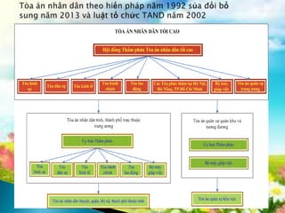 Các mô hình Cơ quan bảo hiến trên thế giới  Luật sư Online