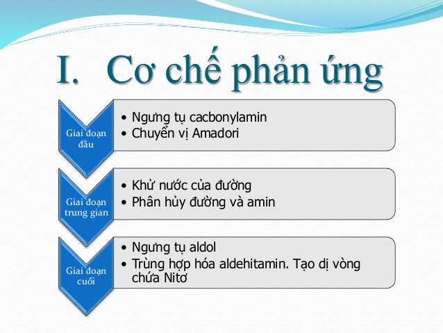 Bài thuyết trình 1 phản ứng maillard