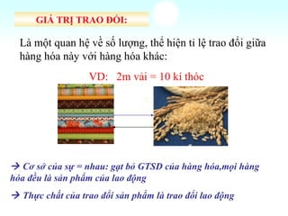 GIÁ TRỊ TRAO ĐỔI: Là một quan hệ về số lượng, thể hiện tỉ lệ trao đổi giữa hàng hóa này với hàng hóa khác: VD:  2m vải = 10 kí thóc    Cơ sở của sự = nhau: gạt bỏ GTSD của hàng hóa,mọi hàng hóa đều là sản phẩm của lao động    Thực chất của trao đổi sản phẩm là trao đổi lao động 