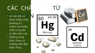CÁC CHẤT BẨN TỪ
TỰ NHIÊN
• Vỏ trái đất có
chứa nhiều chất
khoáng tự
nhiên mà nhiều
chất trong đó
có độc tính cao.
• Những vùng
khác nhau có
những chất độc
khác nhau.
 