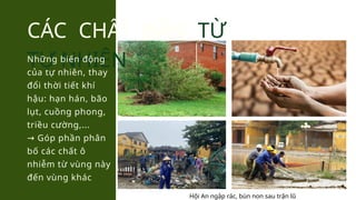 CÁC CHẤT BẨN TỪ
TỰ NHIÊN
Những biến động
của tự nhiên, thay
đổi thời tiết khí
hậu: hạn hán, bão
lụt, cuồng phong,
triều cường,...
→ Góp phần phân
bố các chất ô
nhiễm từ vùng này
đến vùng khác
Hội An ngập rác, bùn non sau trận lũ
 