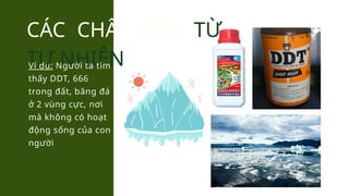 CÁC CHẤT BẨN TỪ
TỰ NHIÊN
Ví dụ: Người ta tìm
thấy DDT, 666
trong đất, băng đá
ở 2 vùng cực, nơi
mà không có hoạt
động sống của con
người
 