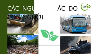 01
CÁC NGUỒN KHÁC DO
CON NGƯỜI
 