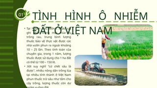 TÌNH HÌNH Ô NHIỄM
ĐẤT Ở VIỆT NAM
01
• Tại huyện Hóc Môn,1 khảo sát
ghi nhận trong một mùa vụ
trồng rau, trung bình lượng
thuốc bảo vệ thực vật được các
nhà vườn phun ra ngoài khoảng
10 – 25 lần. Theo tính toán của
chuyên gia, trong 1 năm, lượng
thuốc được sử dụng cho 1 ha đất
có thể từ 100 – 150 lít.
• .Với suy nghĩ "cứ chết sâu là
được", nhiều nông dân trồng lúa
tại nhiều tỉnh thành ở Việt Nam
phun thuốc trừ sâu như tắm cho
cây trồng, lượng thuốc còn dư
 