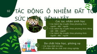 Các tác nhân sinh học
• Các bệnh lây truyền theo phương thức
người - đất - người
• Các bệnh lây truyền theo phương thức động
vật - đất - người
• Các bệnh lây truyền theo phương thức
người - đất - người
01
02
TÁC ĐỘNG Ô NHIỄM ĐẤT TỚI
SỨC KHỎE, BỆNH TẬT
Do chất hóa học, phóng xạ
• Các hóa chất trừ sâu
• Ô nhiễm đất do chất thải công nghiệp
02
 
