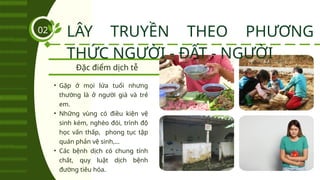 Đặc điểm dịch tễ
LÂY TRUYỀN THEO PHƯƠNG
THỨC NGƯỜI - ĐẤT - NGƯỜI
02
• Gặp ở mọi lứa tuổi nhưng
thường là ở người già và trẻ
em.
• Những vùng có điều kiện vệ
sinh kém, nghèo đói, trình độ
học vấn thấp, phong tục tập
quán phản vệ sinh,...
• Các bệnh dịch có chung tính
chất, quy luật dịch bệnh
đường tiêu hóa.
 