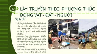 LÂY TRUYỀN THEO PHƯƠNG THỨC
ĐỘNG VẬT - ĐẤT - NGƯỜI
02
• Mọi người đều có CẢM NHIỄM với
các tác nhân gây bệnh: có vacxin
cho động vật, vật nuôi, người
muốn dự phòng hoặc nghi ngờ bị
nhiễm.
• Bệnh thường gặp ở người có TIẾP
XÚC với vật nuôi (nông dân, công
nhân nông trường, lò mổ), người
thăm dò địa chất, nhóm du lịch
sinh thái.
• Các dịch bệnh thường lẻ tẻ, nhưng
quanh năm, không có tính chất
Dịch tễ
 