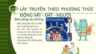 LÂY TRUYỀN THEO PHƯƠNG THỨC
ĐỘNG VẬT - ĐẤT - NGƯỜI
02
• Biện pháp đặc hiệu là kiểm
dịch và phòng dịch thú y.
• Vệ sinh môi trường nói
chung, vệ sinh chuồng trại,
có các biện pháp bảo hộ khi
tiếp xúc động vật.
• Dự phòng CHỦ ĐỘNG bằng
tiêm Vacxin
Biện pháp dự phòng
 