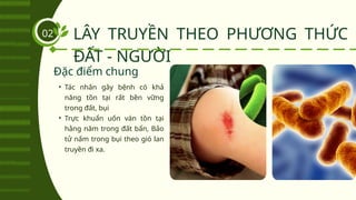 LÂY TRUYỀN THEO PHƯƠNG THỨC
ĐẤT - NGƯỜI
02
• Tác nhân gây bệnh có khả
năng tồn tại rất bền vững
trong đất, bụi
• Trực khuẩn uốn ván tồn tại
hằng năm trong đất bẩn, Bảo
tử nấm trong bụi theo gió lan
truyền đi xa.
Đặc điểm chung
 