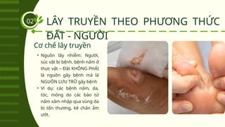 LÂY TRUYỀN THEO PHƯƠNG THỨC
ĐẤT - NGƯỜI
02
• Nguồn lây nhiễm: Người,
súc vật bị bệnh, bệnh nấm ở
thực vật – Đất KHÔNG PHẢI
là nguồn gây bệnh mà là
NGUỒN LƯU TRỮ gây bệnh
• Ví dụ: các bệnh nấm, da,
tóc, móng do các bào tử
nấm xâm nhập qua vùng da
bị tổn thương, kẽ chân ẩm
ướt.
Cơ chế lây truyền
 