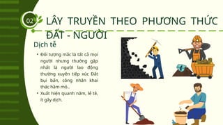 LÂY TRUYỀN THEO PHƯƠNG THỨC
ĐẤT - NGƯỜI
02
• Đối tượng mắc là tất cả mọi
người nhưng thường gặp
nhất là người lao động
thường xuyên tiếp xúc Đất
bụi bẩn, công nhân khai
thác hầm mỏ..
• Xuất hiện quanh năm, lẻ tẻ,
ít gây dịch.
Dịch tễ
 