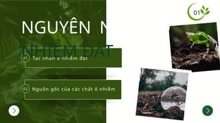 Tác nhân ô nhiễm đất
01
Nguồn gốc của các chất ô nhiễm
02
NGUYÊN NHÂN Ô
NHIỄM ĐẤT
01
 