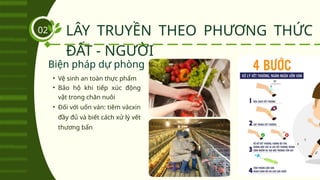 Biện pháp dự phòng
LÂY TRUYỀN THEO PHƯƠNG THỨC
ĐẤT - NGƯỜI
02
• Vệ sinh an toàn thực phẩm
• Bảo hộ khi tiếp xúc động
vật trong chăn nuôi
• Đối với uốn ván: tiêm vácxin
đầy đủ và biết cách xử lý vết
thương bẩn
 
