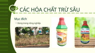 CÁC HÓA CHẤT TRỪ SÂU
02
• Dùng trong nông nghiệp
Mục đích
 