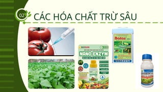 CÁC HÓA CHẤT TRỪ SÂU
02
 