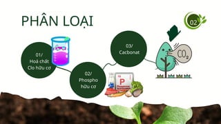02
PHÂN LOẠI
01/
Hoá chất
Clo hữu cơ
02/
Phospho
hữu cơ
03/
Cacbonat
 
