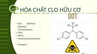 HÓA CHẤT CLO HỮU CƠ
02
• DDT (Dichloro -
Diphenyl -
Trichloroethan)
• DDD,
• Aldrin,
• Hexachlorocyclohexane
,
• Toxaphen
 