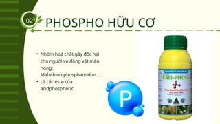 PHOSPHO HỮU CƠ
• Nhóm hoá chất gây độc hại
cho người và động vật máu
nóng:
Malathion,phosphamidon...
• Là các este của
acidphosphoric
02
 