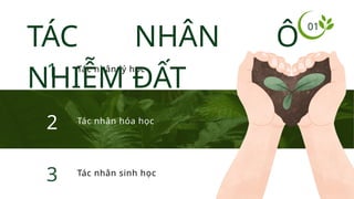 2
1 Tác nhân lý học
Tác nhân hóa học
TÁC NHÂN Ô
NHIỄM ĐẤT
3 Tác nhân sinh học
01
 