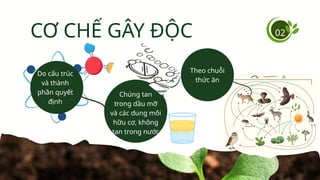 02
CƠ CHẾ GÂY ĐỘC
Do cấu trúc
và thành
phần quyết
định
Chúng tan
trong dầu mỡ
và các dung môi
hữu cơ, không
tan trong nước
Theo chuỗi
thức ăn
 