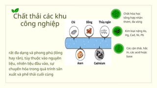 Chất hóa học
tổng hợp nhân
thơm, đa vòng
Kim loại nặng As,
Hg, Cad, Ni, Pb
Các cặn thải, hắc
ín, các acid hoặc
base
Chất thải các khu
công nghiệp
rất đa dạng và phong phú (lỏng
hay rắn), tùy thuộc vào nguyên
liệu, nhiên liệu đầu vào, sự
chuyển hóa trong quá trình sản
xuất và phế thải cuối cùng
 