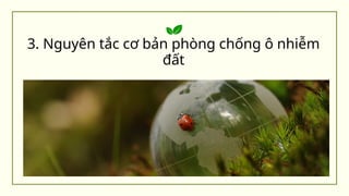 3. Nguyên tắc cơ bản phòng chống ô nhiễm
đất
 