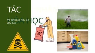 TÁC NHÂN
HÓA HỌC
Vô cơ hoặc hữu cơ
độc hại
 