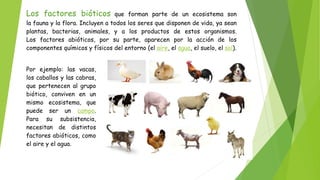 Los factores bióticos que forman parte de un ecosistema son
la fauna y la flora. Incluyen a todos los seres que disponen de vida, ya sean
plantas, bacterias, animales, y a los productos de estos organismos.
Los factores abióticos, por su parte, aparecen por la acción de los
componentes químicos y físicos del entorno (el aire, el agua, el suelo, el sol).
Por ejemplo: las vacas,
los caballos y las cabras,
que pertenecen al grupo
biótico, conviven en un
mismo ecosistema, que
puede ser un campo.
Para su subsistencia,
necesitan de distintos
factores abióticos, como
el aire y el agua.
 