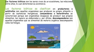 Los factores bióticos son los seres vivos de un ecosistema, las relaciones
entre ellos, lo cual determinan su existencia.
Los factores bióticos se clasifican en: productores o
autótrofos son aquellos organismos que producen su propio alimento a
partir de sustancias inorgánicas, consumidores o heterótrofos se
caracterizan porque son organismos incapaces de producir sus propios
alimentos, los ingiere ya elaborados y, por último, descomponedores son
aquellos organismos que se alimentan de materia orgánica descompuesta
como los hongos.
 