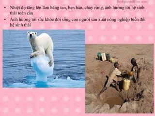 • Nhiệt đọ tăng lên làm băng tan, hạn hán, cháy rừng, ảnh hưởng tới hệ sinh
thái toàn cầu
• Ảnh hưởng tới sức khỏe đời sống con người sản xuất nông nghiệp biến đổi
hệ sinh thái
 