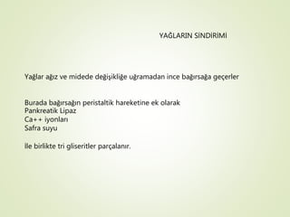 YAĞLARIN SİNDİRİMİ
Yağlar ağız ve midede değişikliğe uğramadan ince bağırsağa geçerler
Burada bağırsağın peristaltik hareketine ek olarak
Pankreatik Lipaz
Ca++ iyonları
Safra suyu
İle birlikte tri gliseritler parçalanır.
 