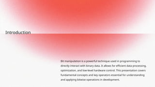 Bit Manipulation Leetcode Data Structures & Algorithms | PPTX