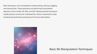 Bit Manipulation Leetcode Data Structures & Algorithms | PPTX