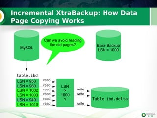 Fast Incremental Backups with Percona Server and Percona XtraBackup ...