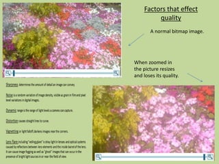 Bitmap and vector | PPTX