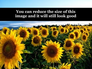 You can reduce the size of this
image and it will still look good
 