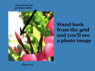 Stand back
from the grid
and you'll see
a photo image
Figure #3
Area shown on
previous slide
 