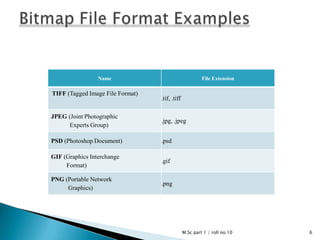 Bitmap vs vectors image | PPTX