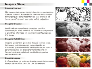 Imagens Bitmap
Imagens Line-art
São imagens que apenas contêm duas cores, normalmente
o preto e o branco. Por vezes são referidas como imagens
bitmap porque o computador tem de usar apenas 1 bit
(on=preto, off=branco) para poder definir cada pixel.
Imagens Grayscale
Contêm várias gradações de cinzentos, também
compostas por preto e branco. No sistema do computador,
a gradiência é formada em sua máxima configuração de
256 linhas.
Imagens Multitônicas
Imagens que contêm gradações de duas ou mais cores.
As imagens multitônicas mais conhecidas são as
duotônicas, que normalmente são compostas por preto e
por uma segunda cor direta (normalmente uma cor
Pantone). A imagem abaixo é constituída por preto e
Pantone Warm Red.
Imagens a cores
A informação de cor pode ser descrita usando determinados
espaços de cor: RGB, CMYK ou Lab, por exemplo.

 