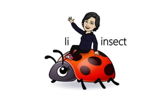 Ii insect