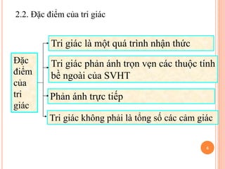 Bài tập quá trình môn tâm lý học đại cương | PPTX
