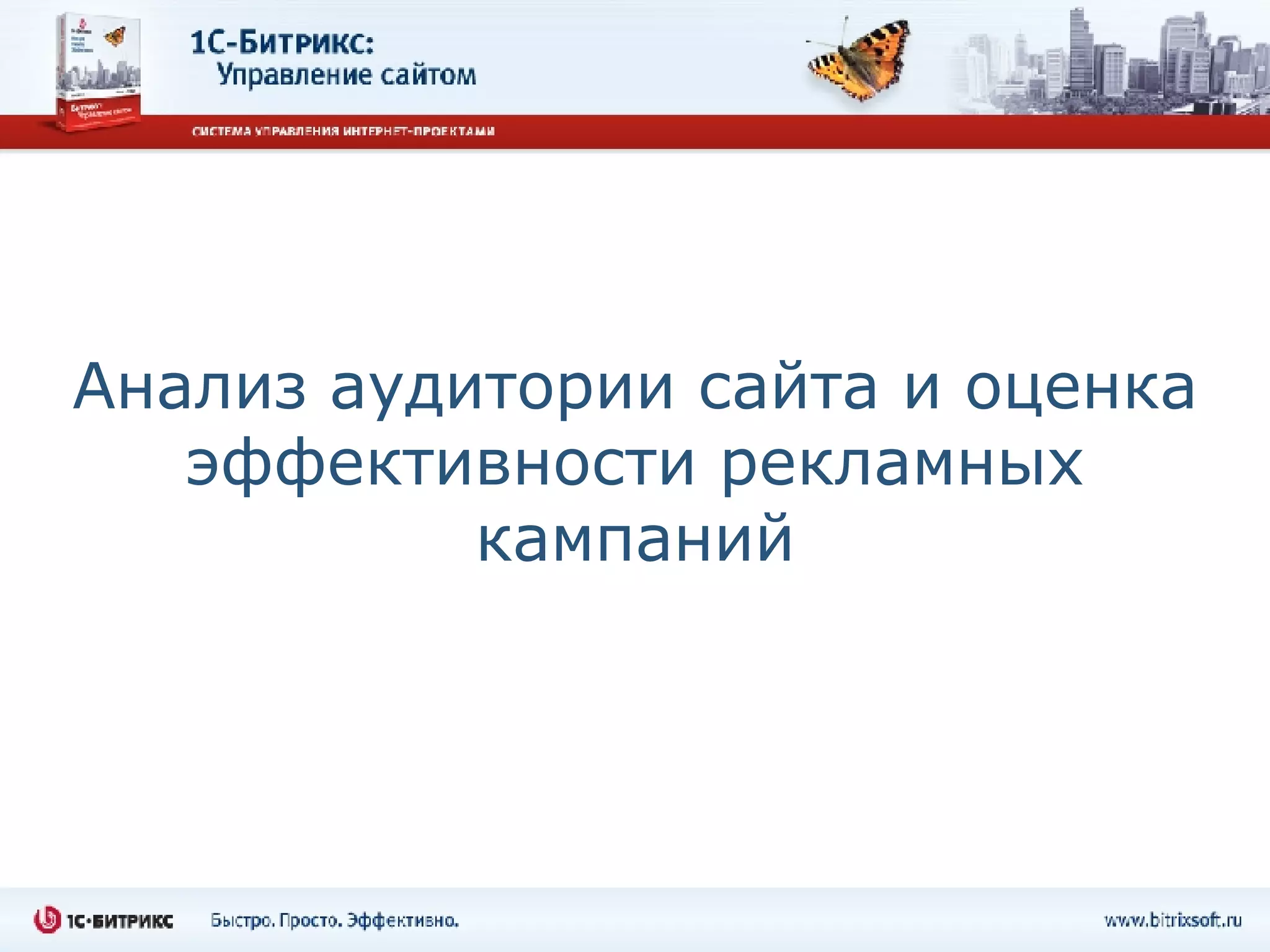 Анализ аудитории сайта и оценка эффективности рекламных кампаний 