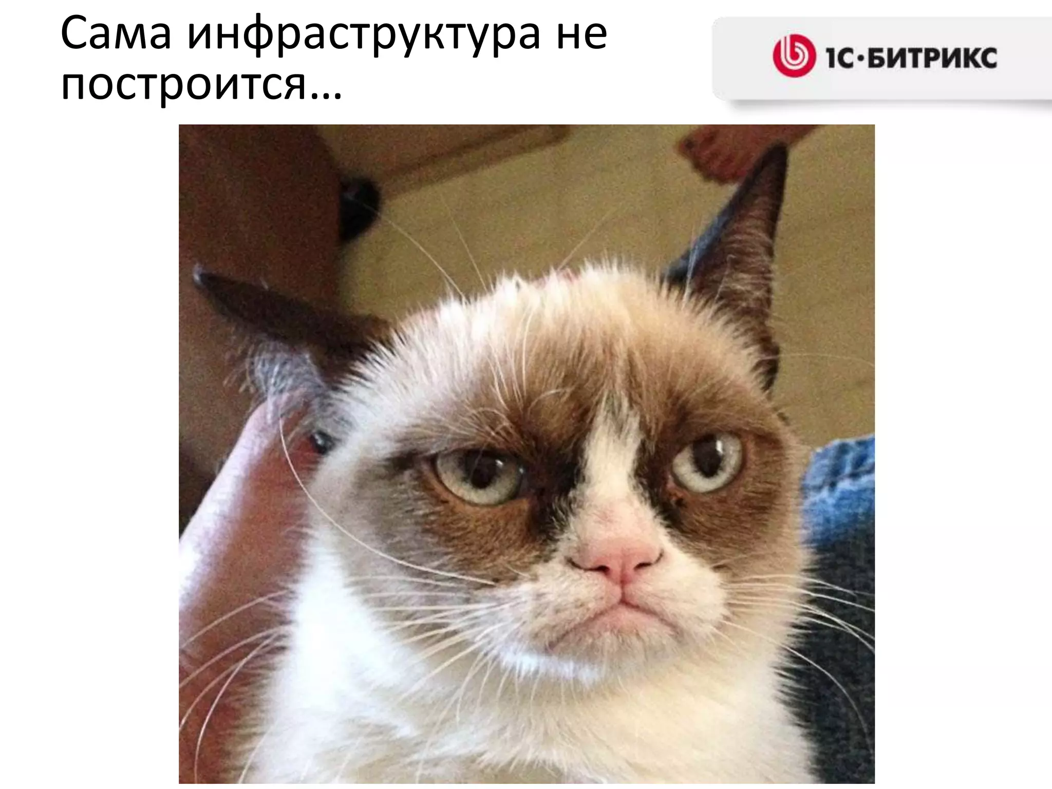 Сама инфраструктура не
построится…

 