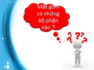 Mắt gồm
có những
bộ phận
nào ?

 