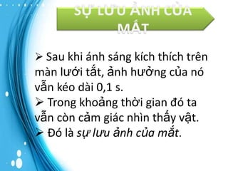 SỰ LƯU ẢNH CỦA
MẮT
 Sau khi ánh sáng kích thích trên

màn lưới tắt, ảnh hưởng của nó
vẫn kéo dài 0,1 s.
 Trong khoảng thời gian đó ta
vẫn còn cảm giác nhìn thấy vật.
 Đó là sự lưu ảnh của mắt.

 