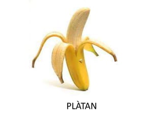 PLÀTAN
 